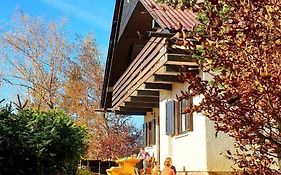 Pet & Family Friendly House Viktorija - House Near Golica With Triglav View