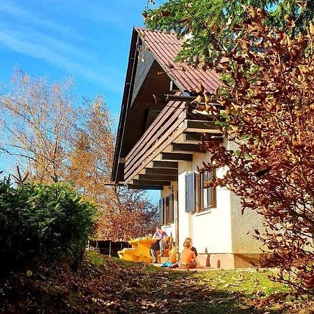 Villa Pet & Family Friendly House Viktorija - House Near Golica With Triglav View Jesenice Exterior foto
