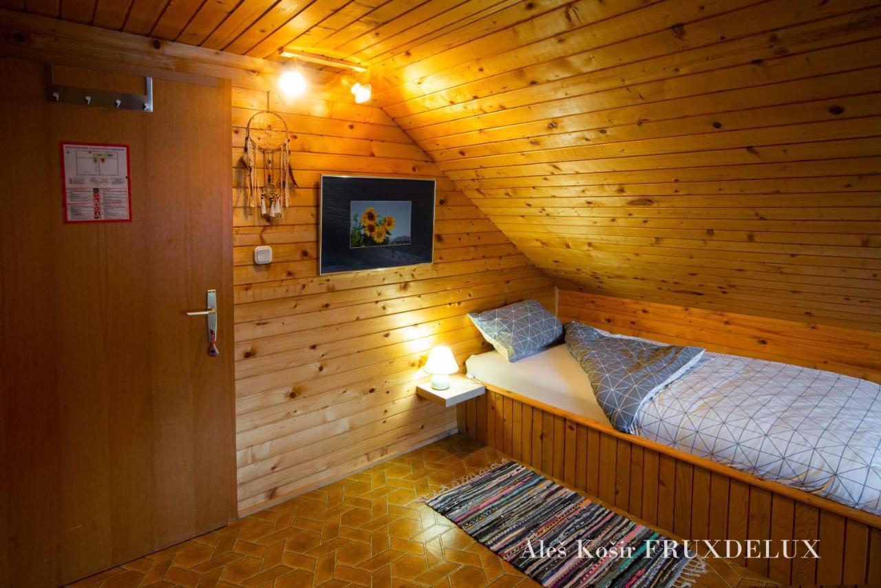 Villa Pet & Family Friendly House Viktorija - House Near Golica With Triglav View Jesenice Exterior foto