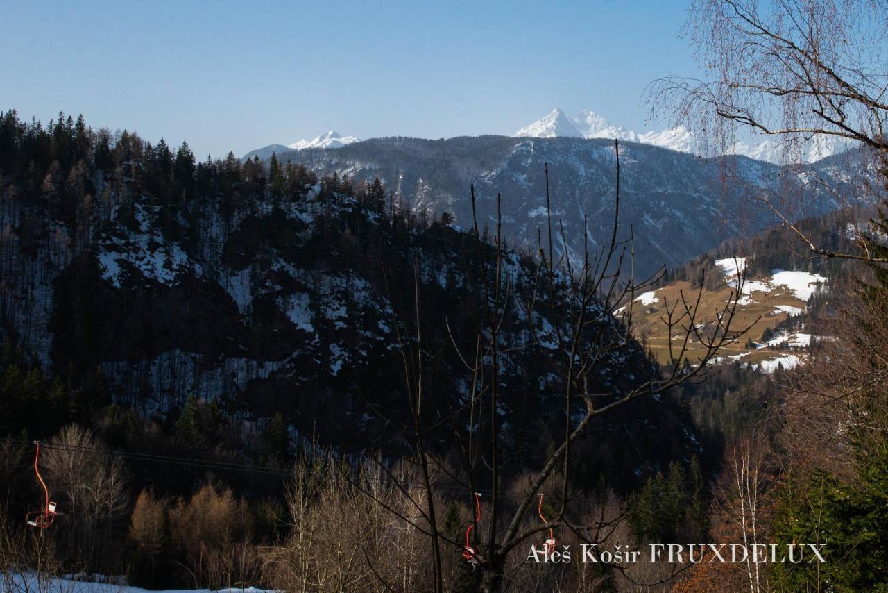 Villa Pet & Family Friendly House Viktorija - House Near Golica With Triglav View Jesenice Exterior foto