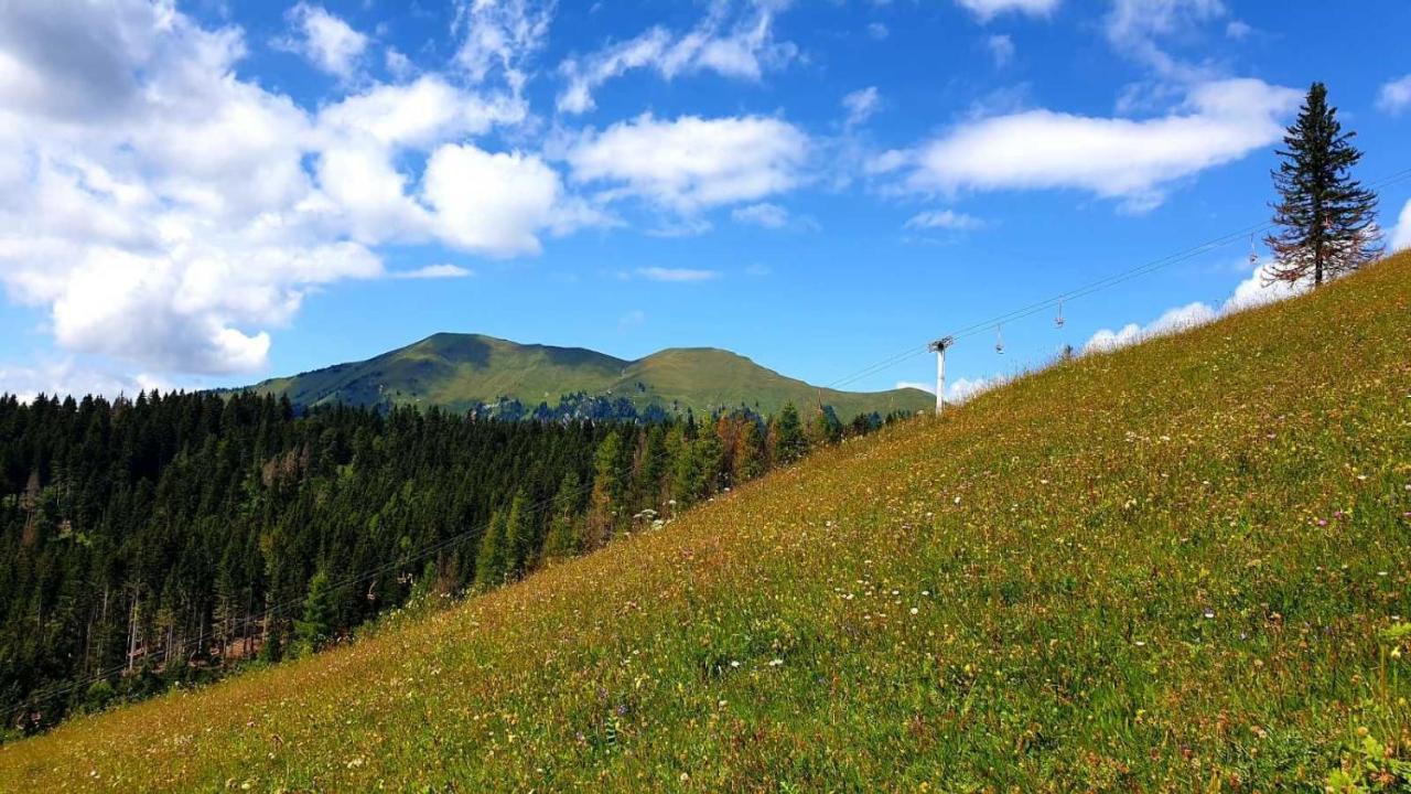 Villa Pet & Family Friendly House Viktorija - House Near Golica With Triglav View Jesenice Exterior foto