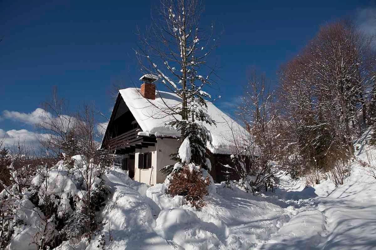 Villa Pet & Family Friendly House Viktorija - House Near Golica With Triglav View Jesenice Exterior foto