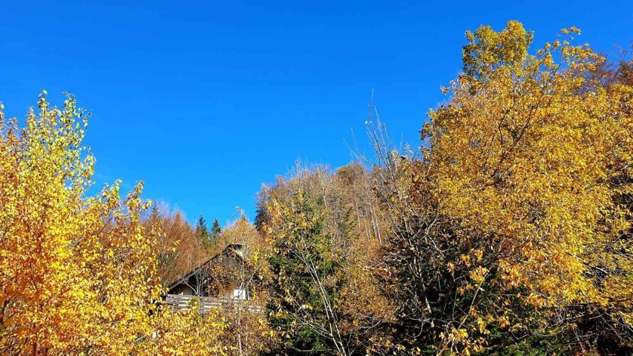 Villa Pet & Family Friendly House Viktorija - House Near Golica With Triglav View Jesenice Exterior foto